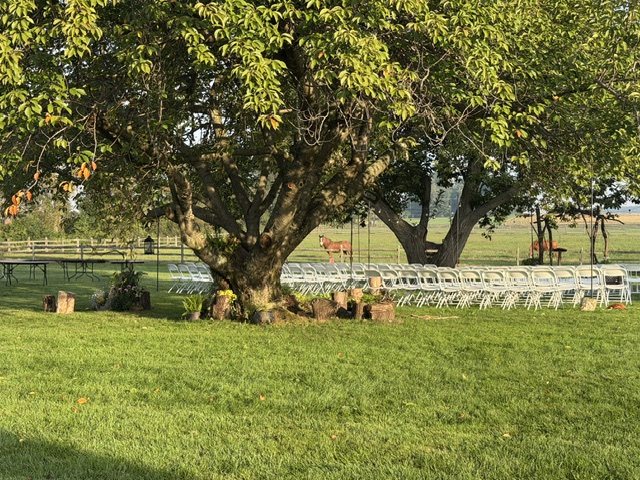 Ceremony chairs under the trees with a horse in the pasture behind