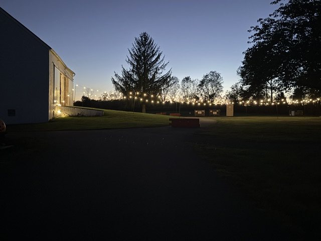 String lights glowing across the lawn at dusk