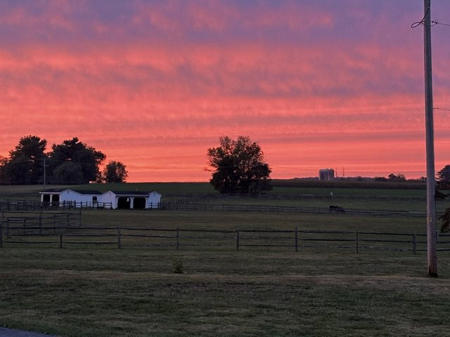 Pink sunset over the farm's fenced fields